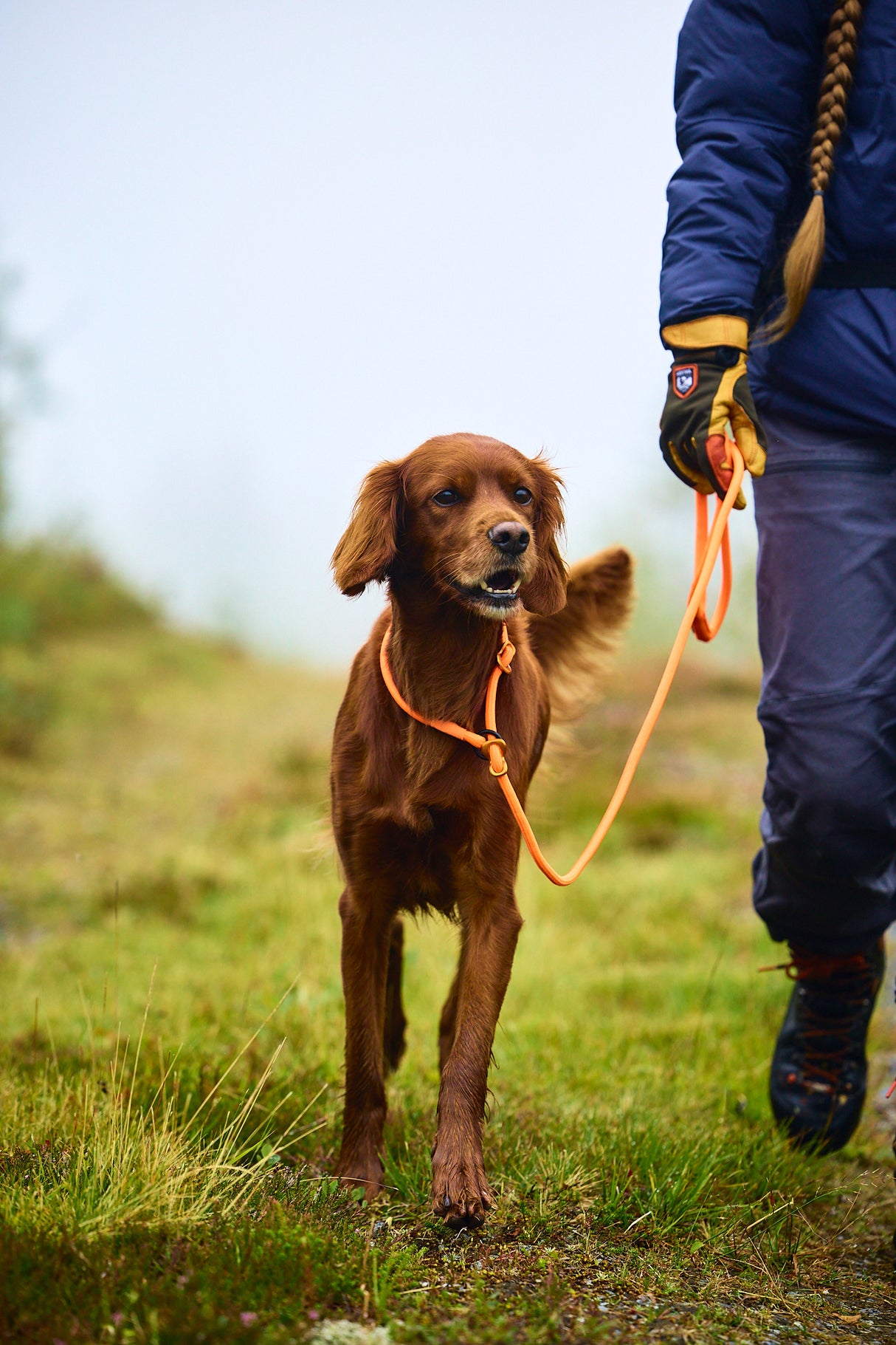 Correa - Collar todo en uno Retriever Leash Non-stop Dogwear