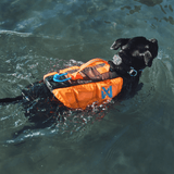 Salvavidas Premium para Perro Protector Life Jacket Non-stop Dogwear