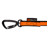 Correa Elástica para Perro Bungee Leash Non-stop Dogwear