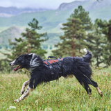 Arnés Resistente Outdoor Anti Escape para Perro Rock Harness Long Non-stop Dogwear