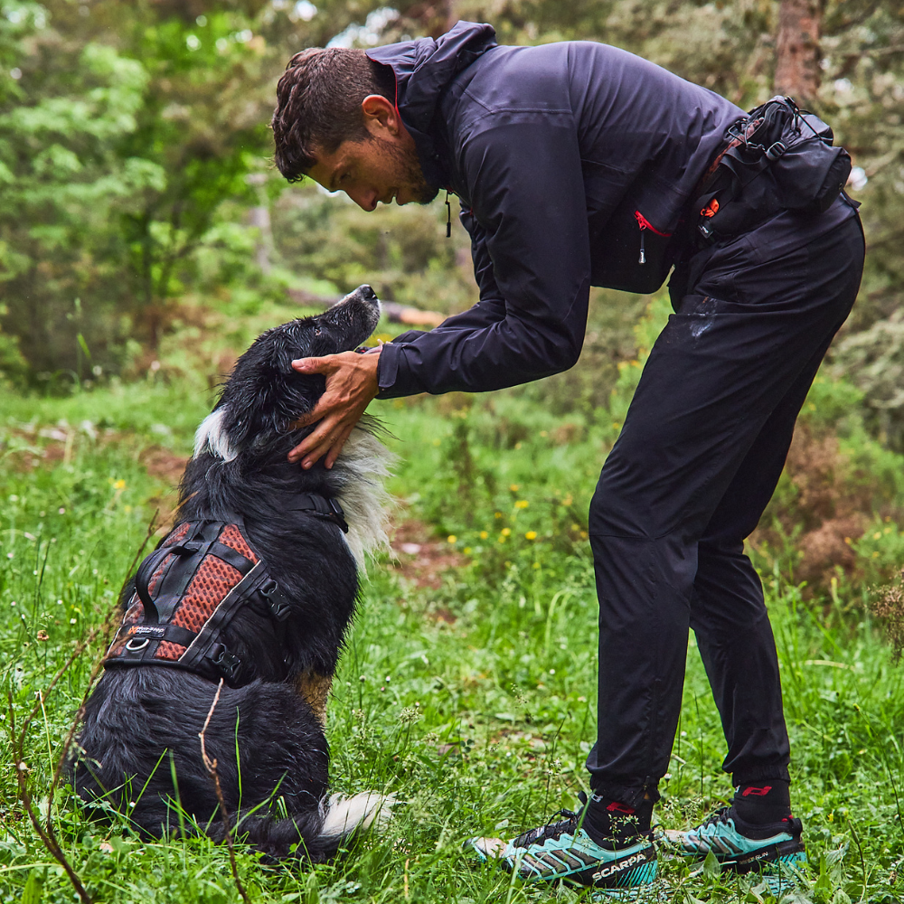 Arnés Resistente Outdoor Anti Escape para Perro Rock Harness Long Non-stop Dogwear