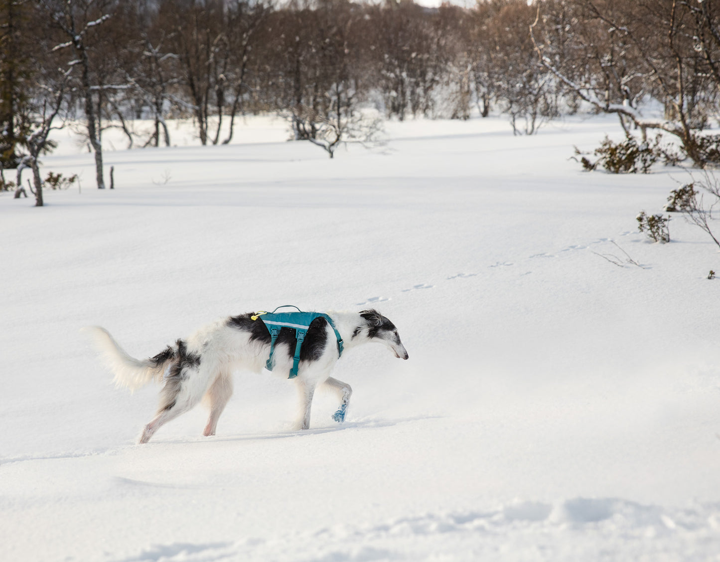 NON-STOP DOGWEAR RAMBLE HARNESS LONG