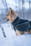 NON-STOP DOGWEAR WOOL DOG JACKET