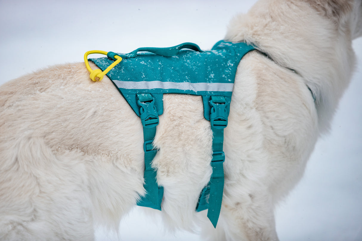 Arnés Ajustable Anti escape para Perro Ramble Harness Long Non-stop Dogwear
