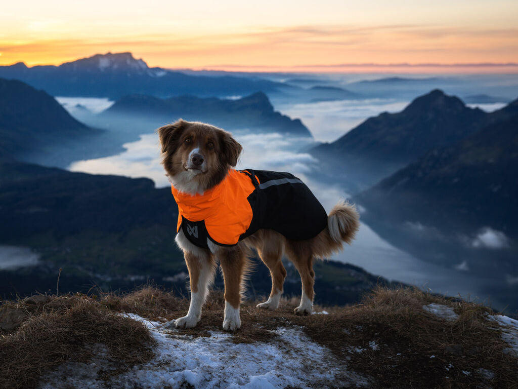 Chaqueta Impermeable Premium Perros Fjord 2.0 Non-stop Dogwear