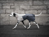 Chaqueta Impermeable Premium Perros Fjord 2.0 Non-stop Dogwear