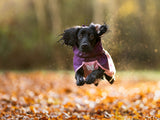 Chaqueta Impermeable Premium Perros Fjord 2.0 Non-stop Dogwear