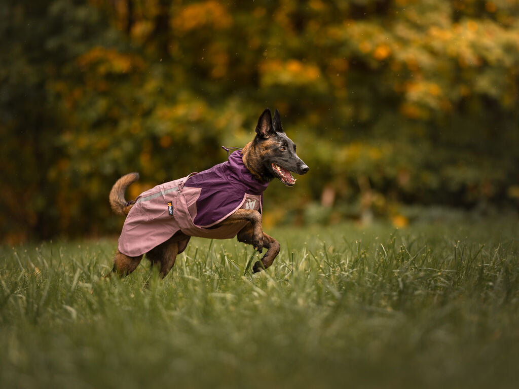 Chaqueta Impermeable Premium Perros Fjord 2.0 Non-stop Dogwear