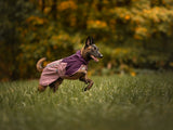 Chaqueta Impermeable Premium Perros Fjord 2.0 Non-stop Dogwear