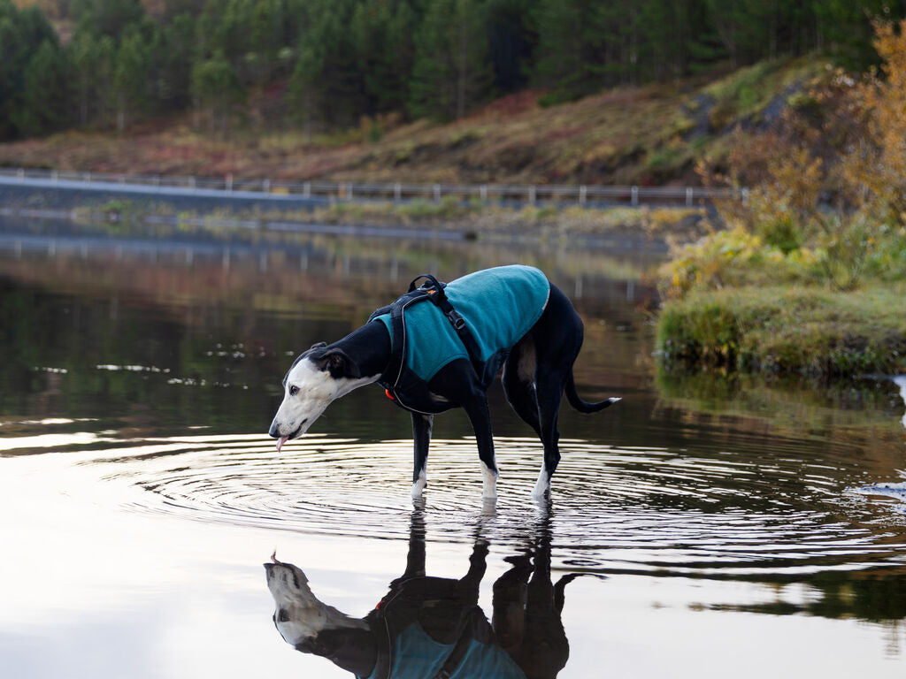 Polar Premium Polartec® Para Perros Trekking Fleece Pullover Non-Stop Dogwear