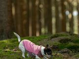 Polar Premium Polartec® Para Perros Trekking Fleece Pullover Non-Stop Dogwear