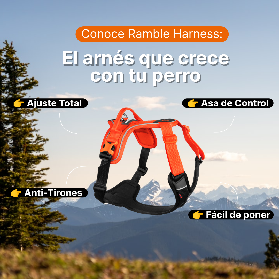 Arnés Ajustable para Perro Ramble Harness Non-stop Dogwear