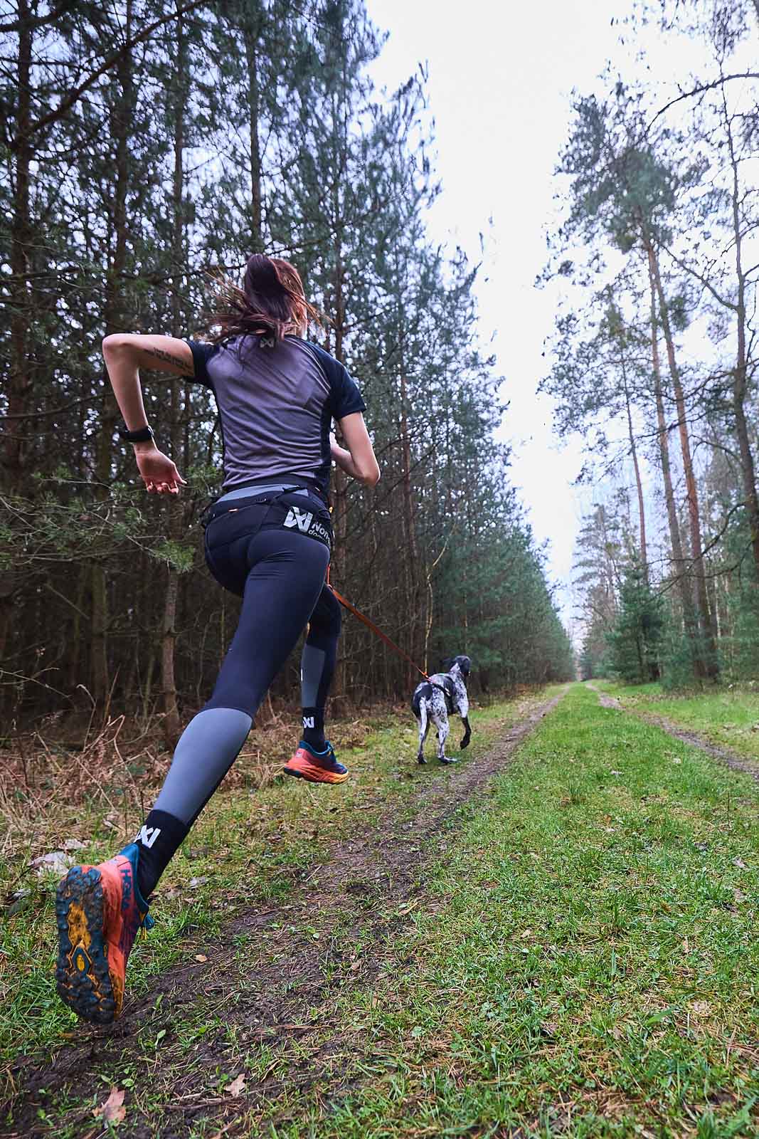 Cinturón Para Correr Con Perro Profesional Canix Belt Pro Non-stop Dogwear