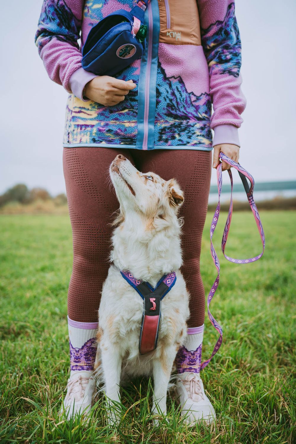 NON-STOP DOGWEAR CORREA 5.0 RACHEL POHL