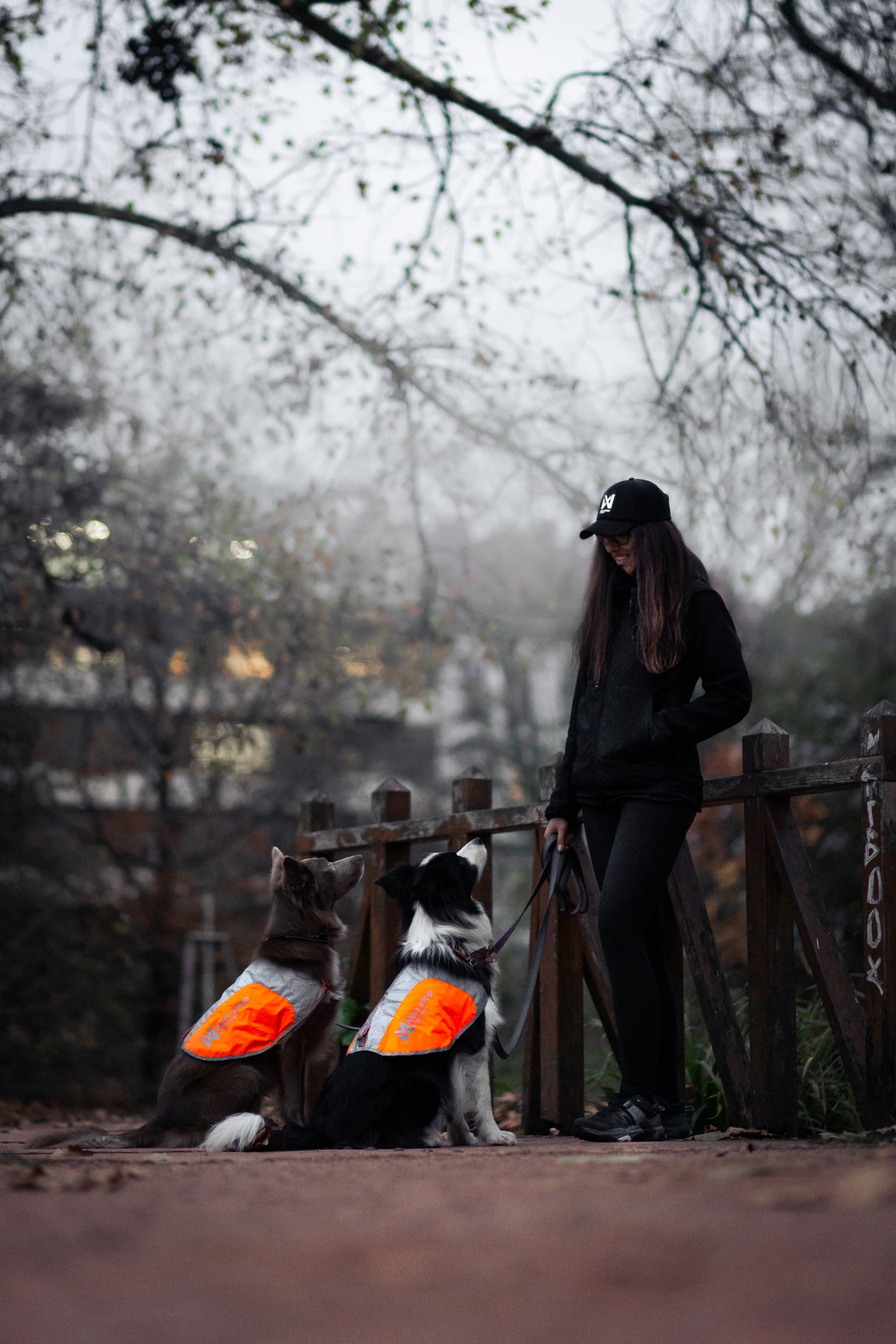 Chaqueta Reflectante Ligera Reflection Blancket Non-stop Dogwear