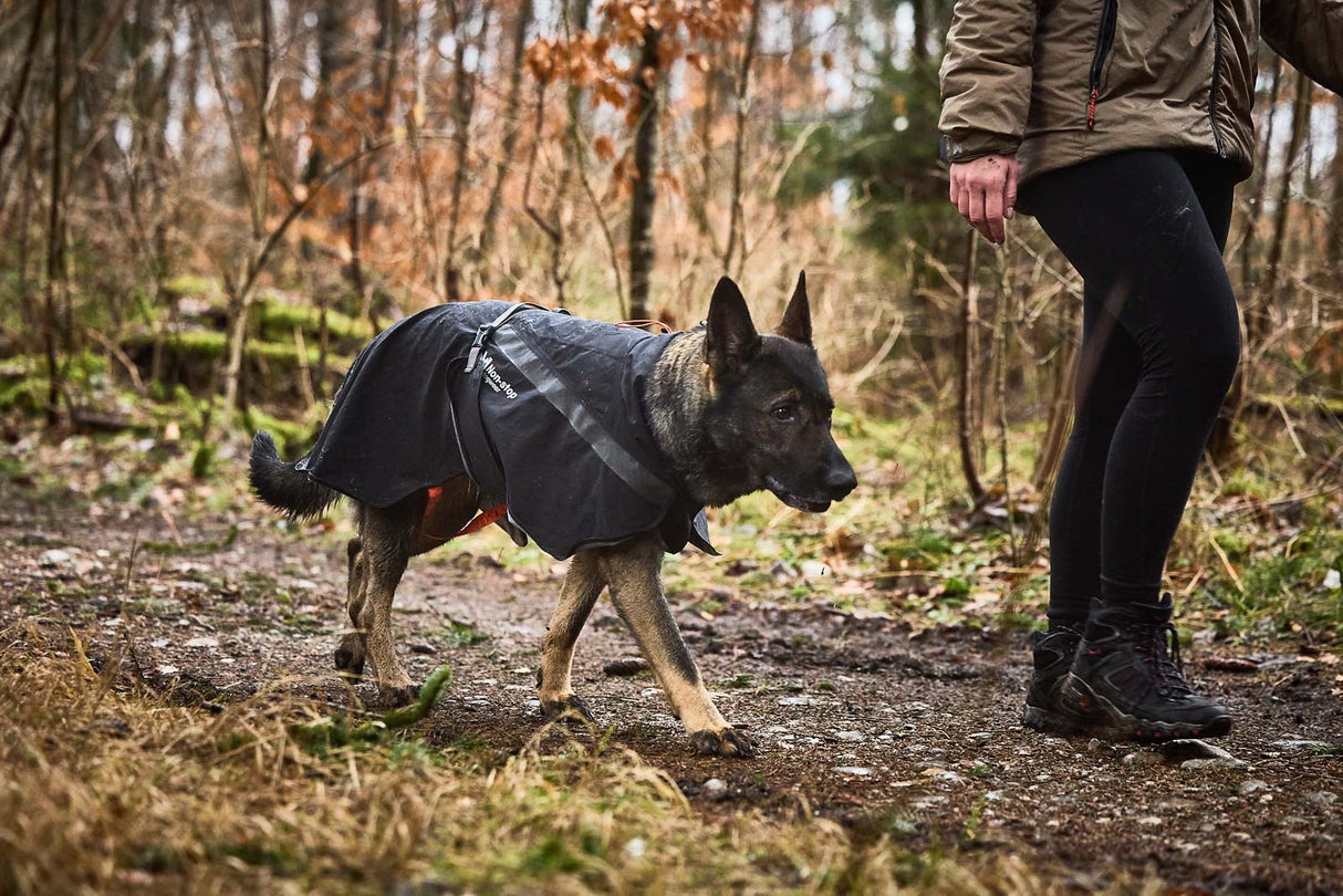 Chaqueta Impermeable con Abrigo para Perro Trekking Insulated Dog Jacket Non-stop Dogwear