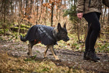 Chaqueta Impermeable con Abrigo para Perro Trekking Insulated Dog Jacket Non-stop Dogwear