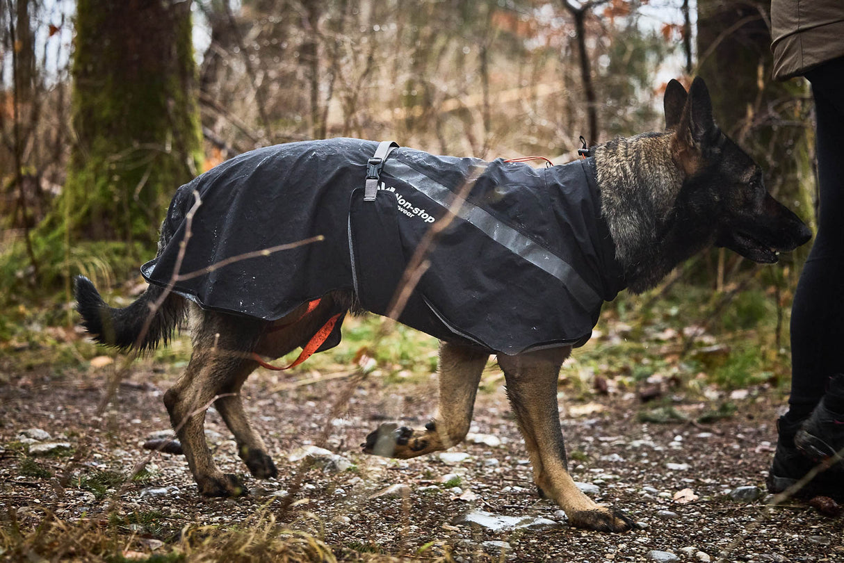 Chaqueta Impermeable con Abrigo para Perro Trekking Insulated Dog Jacket Non-stop Dogwear