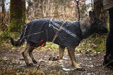 Chaqueta Impermeable con Abrigo para Perro Trekking Insulated Dog Jacket Non-stop Dogwear