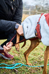 Trekking fleece dog jacket