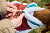 Chaqueta Polar para Perro Trekking Fleece Jacket Non-stop Dogwear