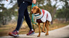 Trekking fleece dog jacket