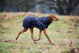 Chaqueta Impermeable para Perro Trekking Dog Raincoat Non-stop Dogwear