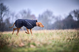 Chaqueta Impermeable para Perro Trekking Dog Raincoat Non-stop Dogwear