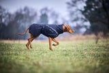 Chaqueta Impermeable para Perro Trekking Dog Raincoat Non-stop Dogwear