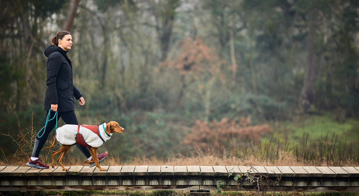 Correa de Cuerda para Perro Trekking Rope Leash Non-stop Dogwear