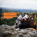 Arnés uso diario Premium para Perro Line 5.0 Harness Non-Stop Dogwear
