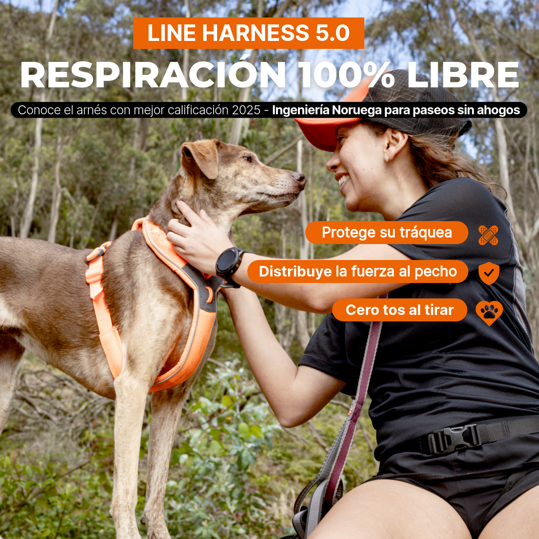 Arnés uso diario Premium para Perro Line 5.0 Harness Non-Stop Dogwear