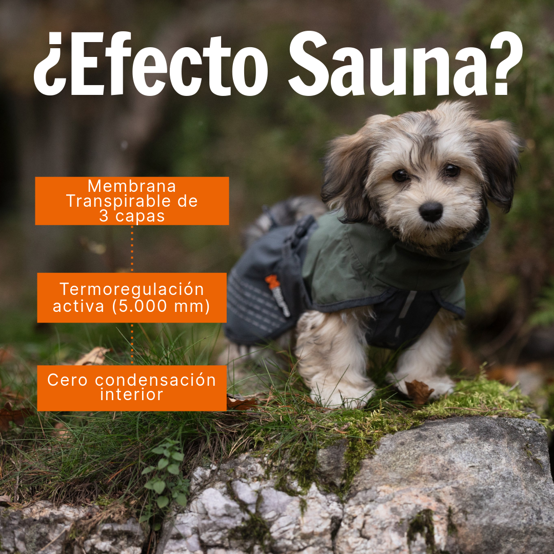Impermeable para Perro Fjord Raincoiat Non-stop Dogwear